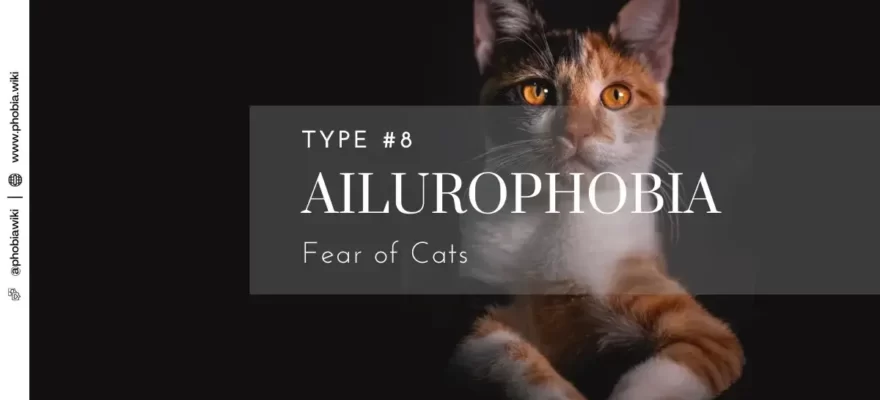 Ailurophobia - Fear of Cats