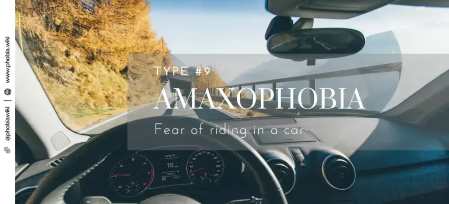 Amaxophobia – Fear of riding in a car