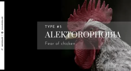 alektorophobia fear of chickens