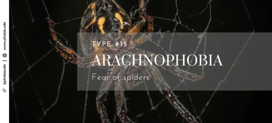 Arachnophobia - Fear of spiders