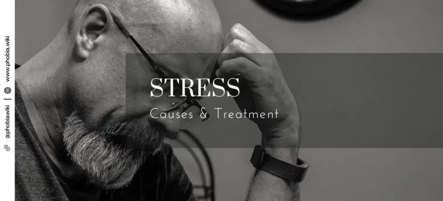 Stress Causes & Treatment – PhobiaWiki