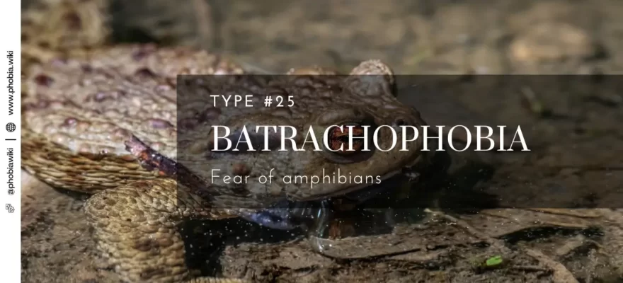 batrachophobia - Fear of amphibians