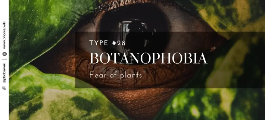 Visit our website for the full article. ****************** Follow : 👻@phobiawiki👻 Follow : 👻@phobiawiki 👻 Follow : 👻@phobiawiki👻 ****************** Botanophobia - Fear of plants